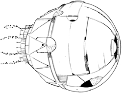 Confederate (Clan) line art