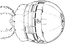 Sassanid line art